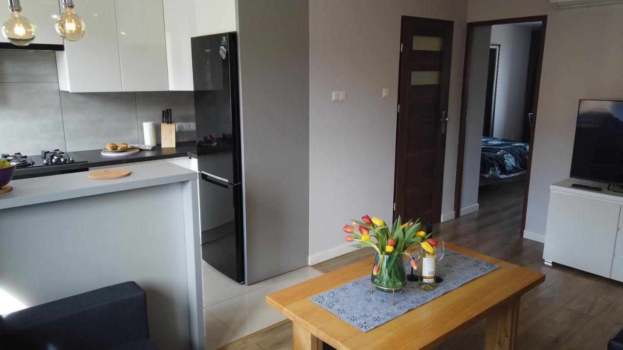 Apartament Bieszczady Apartment Ustrzyki Dolne Ngoại thất bức ảnh