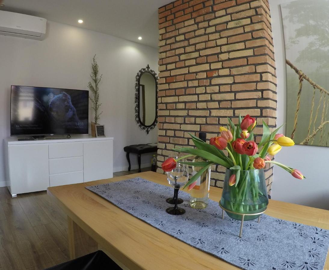 Apartament Bieszczady Apartment Ustrzyki Dolne Ngoại thất bức ảnh