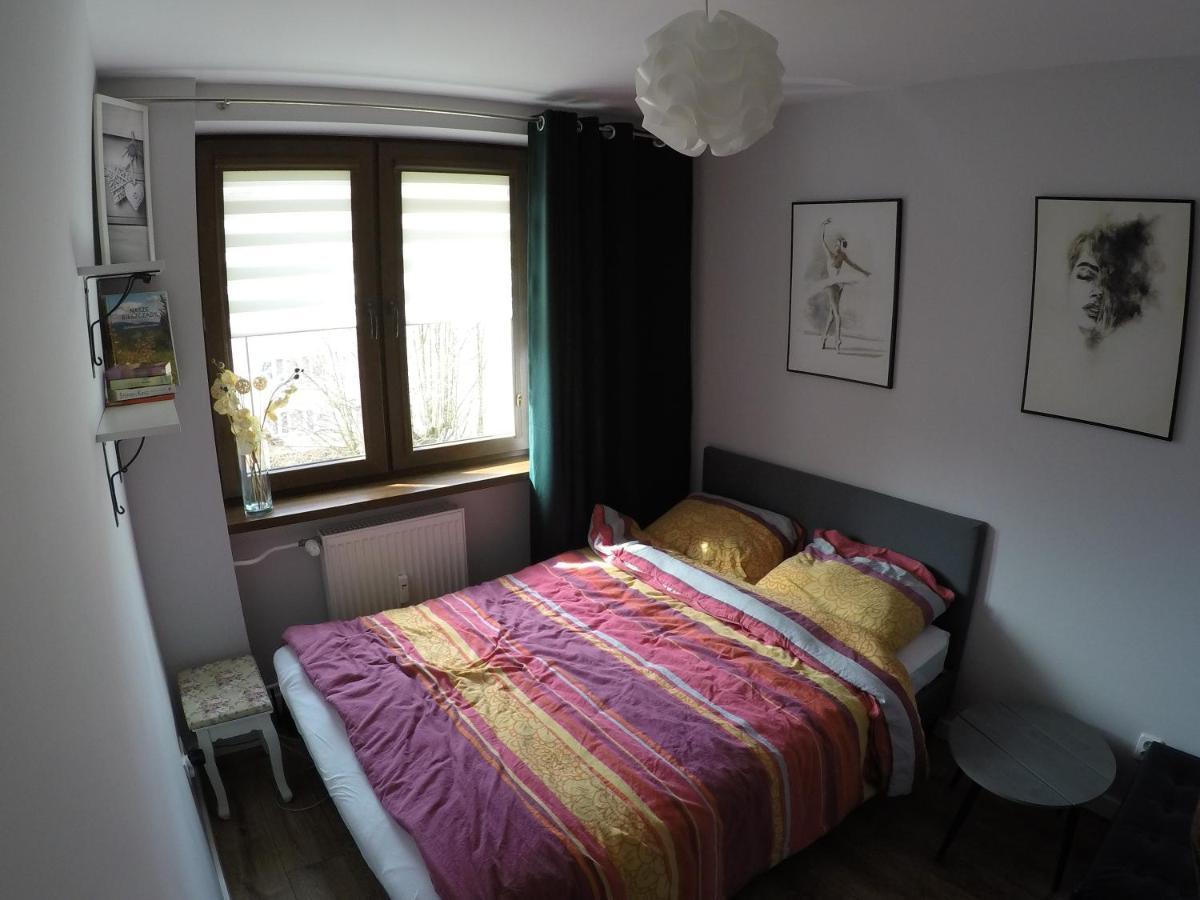 Apartament Bieszczady Apartment Ustrzyki Dolne Ngoại thất bức ảnh